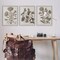 Stupell Industries Vintage Country Botanicals 3pc Framed Giclee Wall Art Set Design by Lil' Rue